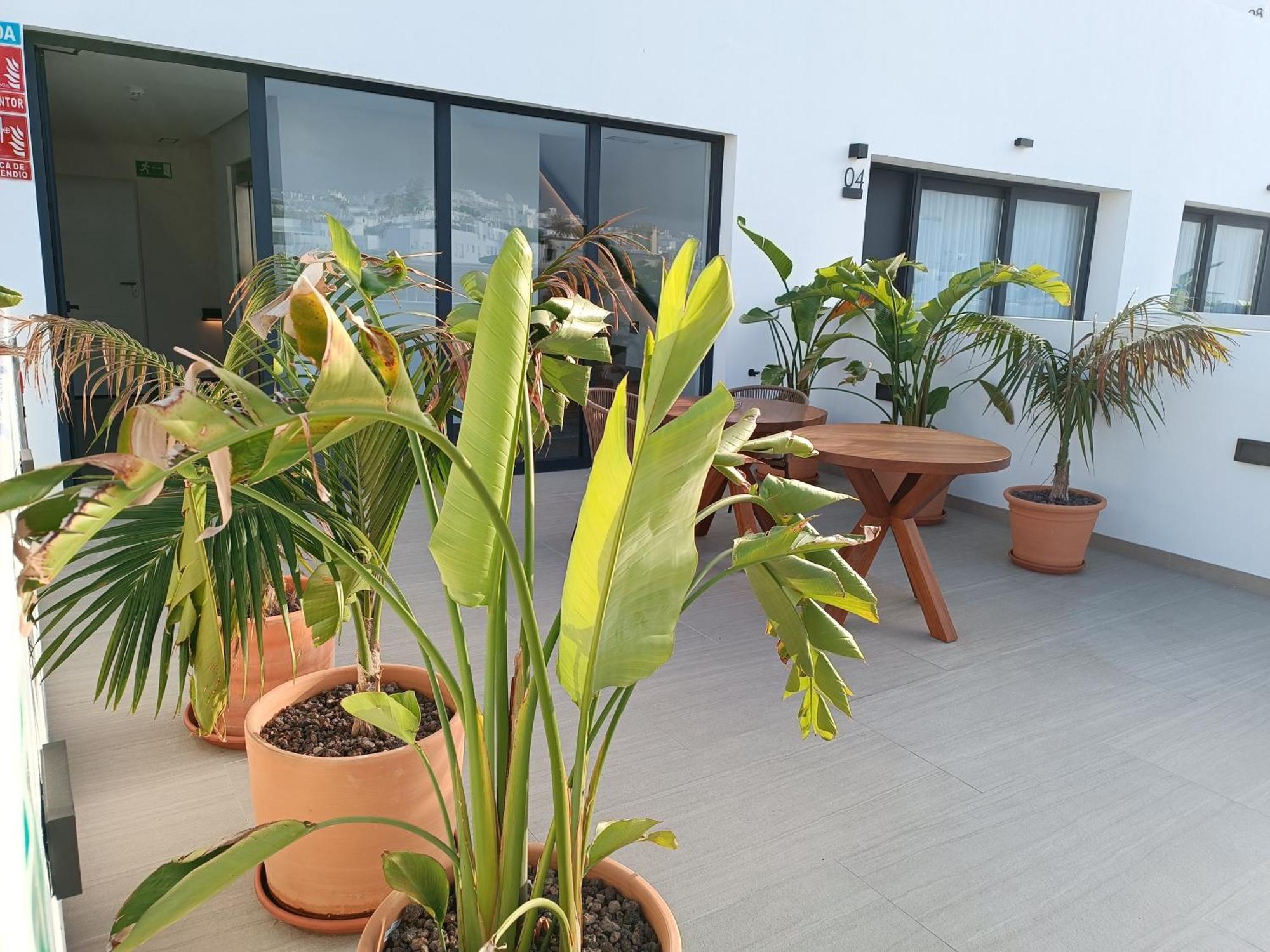 Hotel Apartamentos Hamus Conil De La Frontera Dış mekan fotoğraf